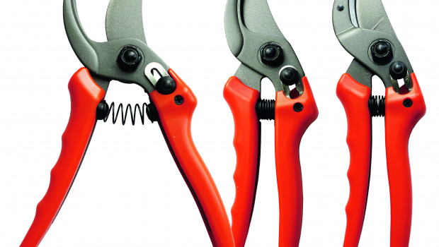 Professional pruning shears, Winland