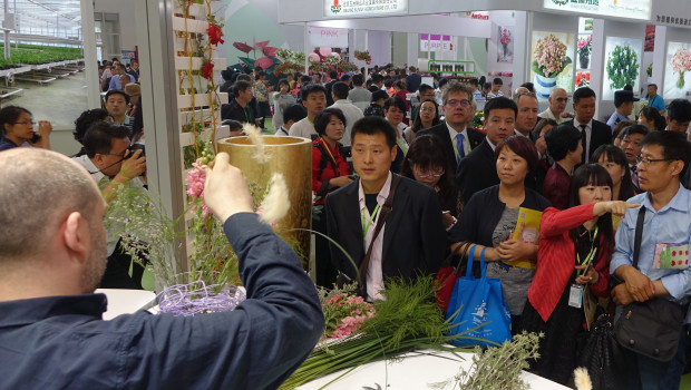 The number of visitors to Hortiflorexpo IPM in Beijing increased by around 10 000 compared with the event two years ago.