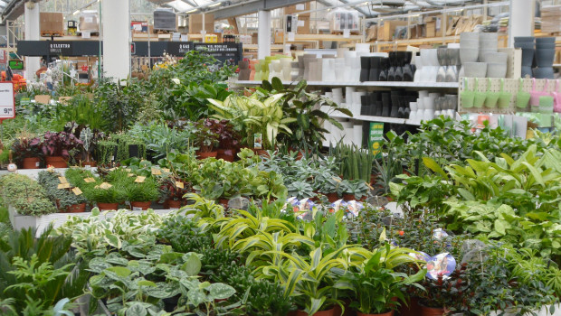 In 2019, the garden segment of the DIY stores will decline by 0.3 per cent, market researcher Klaus Peter Teipel says.