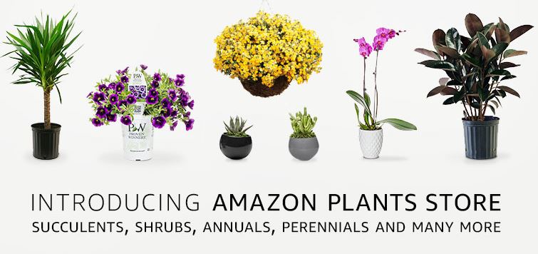 Amazon branches out into plants - diyinternational