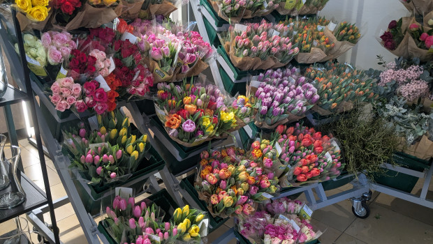 The cut-flower market has seen varying trends across the different product groups. The rose market, in particular, came under pressure. The cut-flower market has seen varying trends across the different product groups. The rose market, in particular, came under pressure.