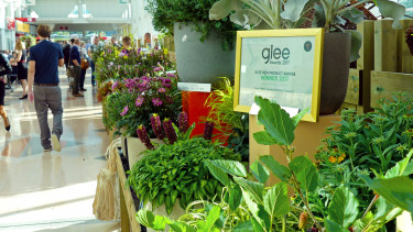 Glee is growing