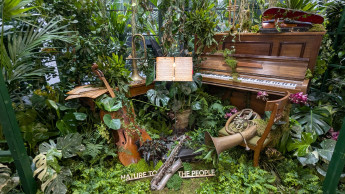 Green Gets Under Your Skin