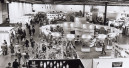 International career made in Düsseldorf