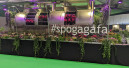 "Responsible Gardens": Spoga+Gafa faces up to responsibility