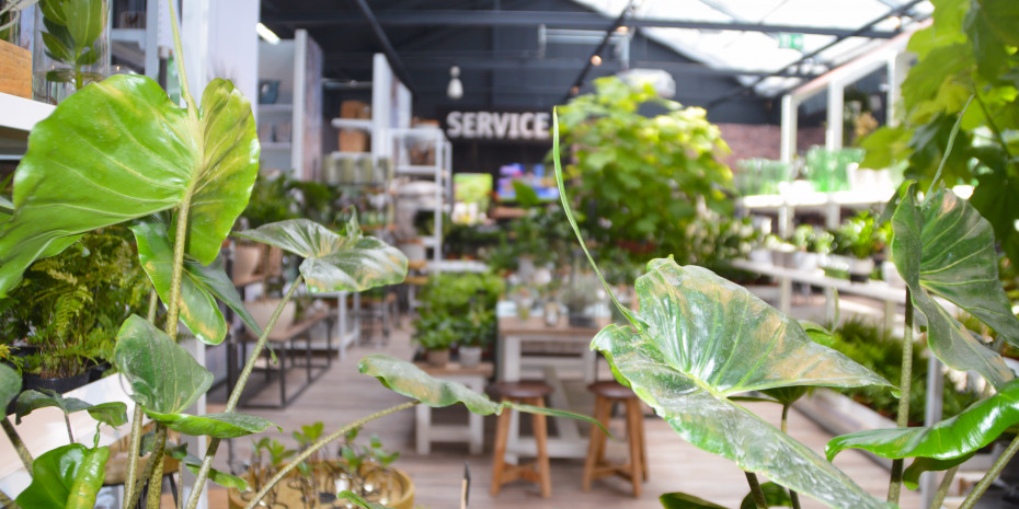 2019 Garden Trends Report, Greener living spaces
