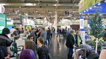 The central green platform