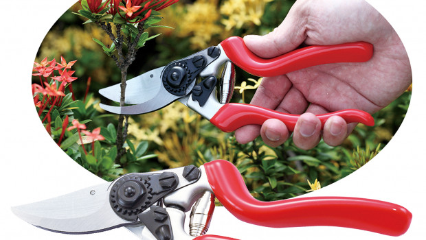 Winland, Drop-forged bypass pruner