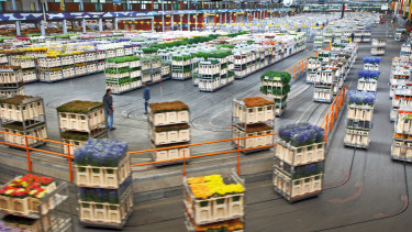 The hot summer burned exports