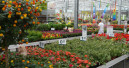 Stable garden market
