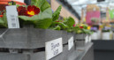 Garden and zoo retailers report significant decline in first quarter