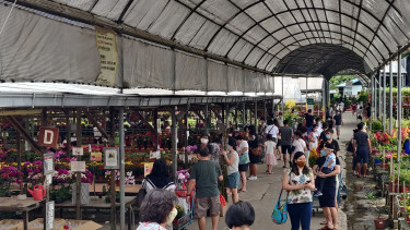Pandemic-induced growth for garden centres in Singapore