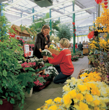 Fit to give advice: Hagebau/Öbau intends to provide better training for its store staff.