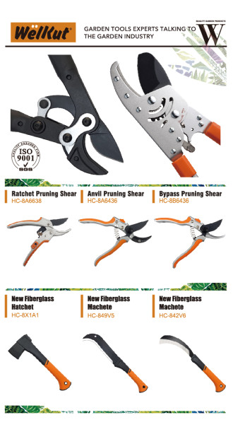 Ergänzendes Bildmaterial