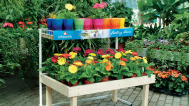 Selling with feeling