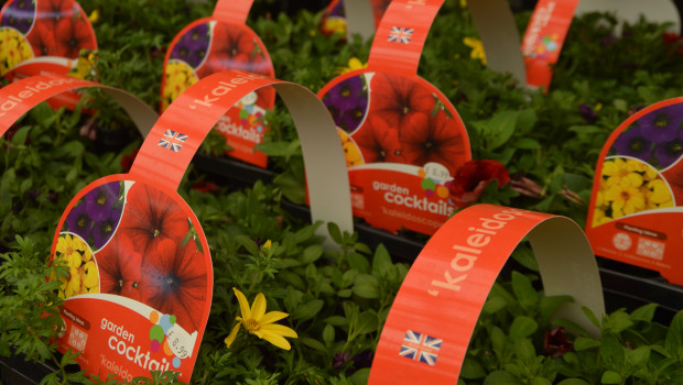 From January to November 2021, British garden centres increased their sales of plants by 37 per cent.