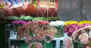 Fairs once again showing greater interest in gardens and plants