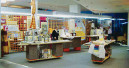Interior designer in a DIY store