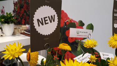 IPM Essen postponed to 2023, IPM Summer Edition in June 2022