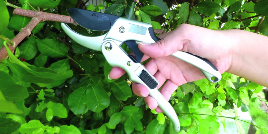 Winland, Roll pruner