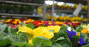 German DIY stores 4 per cent below previous year's level