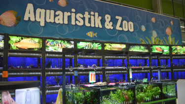 Hornbach opens its first store in Burgenland