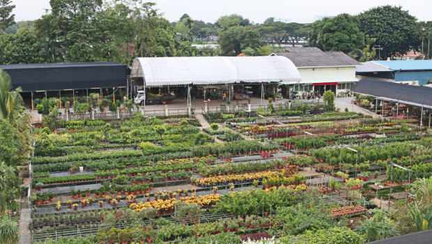 World Farm had to leave its home for over 30 years, a 2.4 hectare leased property along Bah Soon Pah Road, northeast of Singapore.