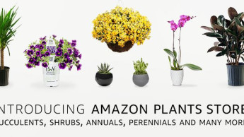 Amazon branches out into plants