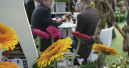 Green fair in France