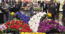 Expectation of more exhibitors at IPM