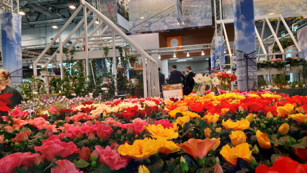 Today and over the next few days, all eyes will be on plants at the exhibition halls in Essen.&nbsp;