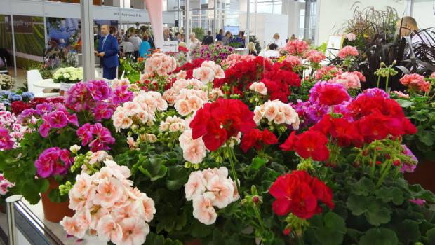 Almost three quarters of the visitors at Flowers IPM Moscow are trade professionals. 
