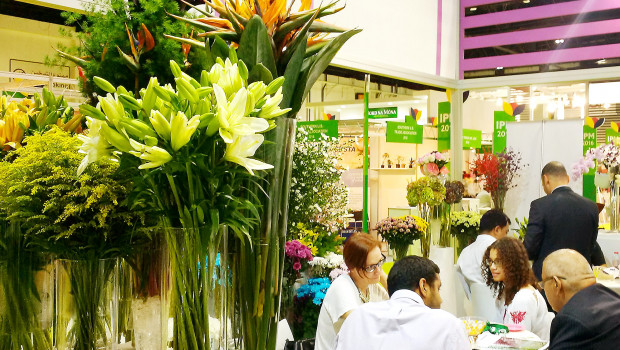 IPM Dubai is the only fair within the Gulf region to unite the exhibition areas Plants, Technology, Floristry, Garden Features, Logistics, Plant Maintenance as well as Garden and Landscaping.