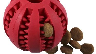 Clas Ohlson to include pet products in its range