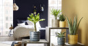 House plants were the top décor trend in 2020