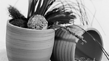 "Indoor ceramics with a future"