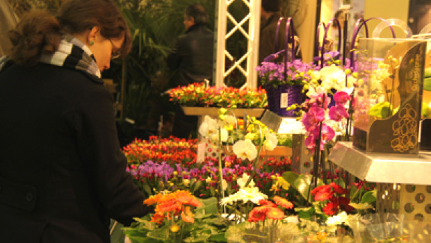The organisers are again expecting around 15 000 trade visitors and over 600 exhibitors to attend the Salon du Végétal 2011.