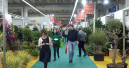 IPM more international than ever