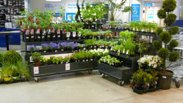 French garden market grows in spite of supermarkets