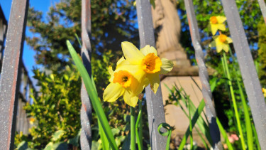 A blessed Holy Week – and a happy Easter!