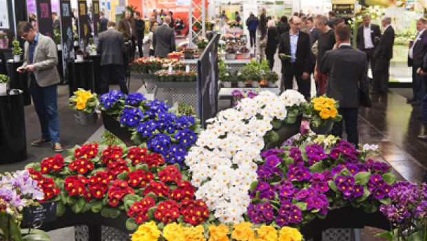 Messe Essen expects slight increases in all segments of the IPM 2014 fair.