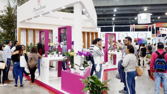 IPM offshoot in Mexico meets organisers’ expectations IPM offshoot in Mexico meets organisers’ expectations