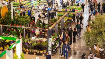 Italy posts record production in the flower and nursery sector