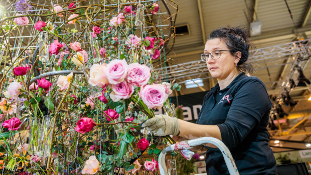 Ornamental plants and flowers have settled at the 2019 market level.