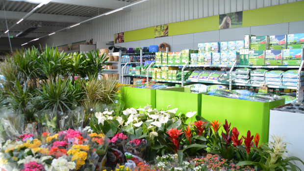 In the first quarter, garden assortments were the strongest growth drivers of the German DIY and home improvement stores.
