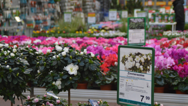 The green market in Germany increased by 1.5 per cent in 2015. The green market in Germany increased by 1.5 per cent in 2015.
