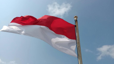 Mixed 2025 results in Indonesia