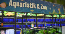 Hornbach opens its first store in Burgenland