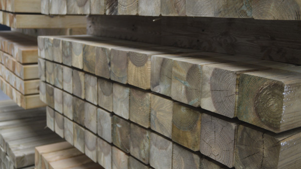 The wood segment was the winner in the Austrian DIY trade in the third quarter. The wood segment was the winner in the Austrian DIY trade in the third quarter.