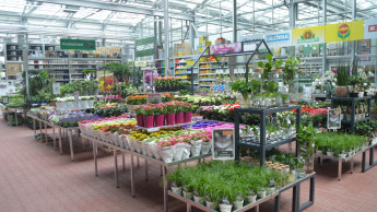 Top 15 in German garden retailing increase sales by double digits Top 15 in German garden retailing increase sales by double digits